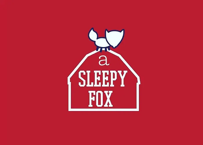 A Sleepy Fox Hostel New Delhi
